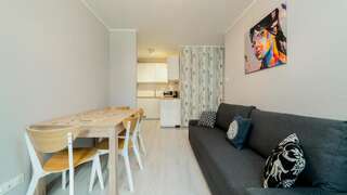 Апартаменты Apartamenty Sun & Snow Karpacz Карпач One-Bedroom Apartment - Nadrzeczna 3D-8