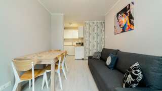 Апартаменты Apartamenty Sun & Snow Karpacz Карпач One-Bedroom Apartment - Nadrzeczna 3D-3